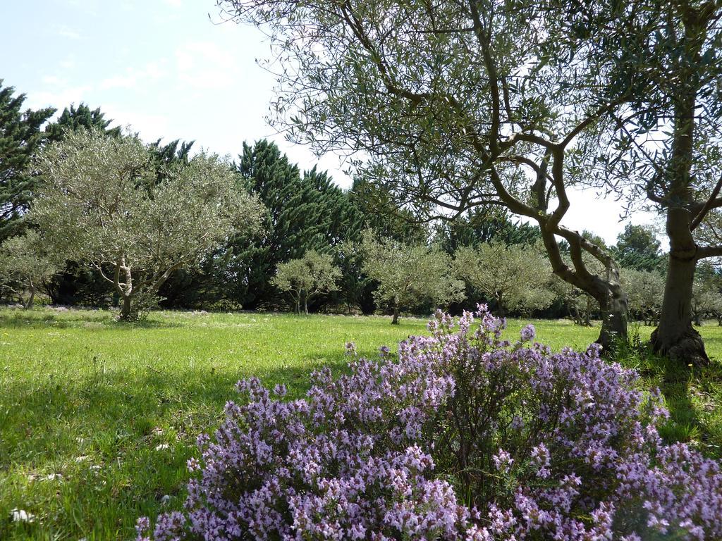 Les Mazets Du Luberon Bed & Breakfast Puget Bagian luar foto